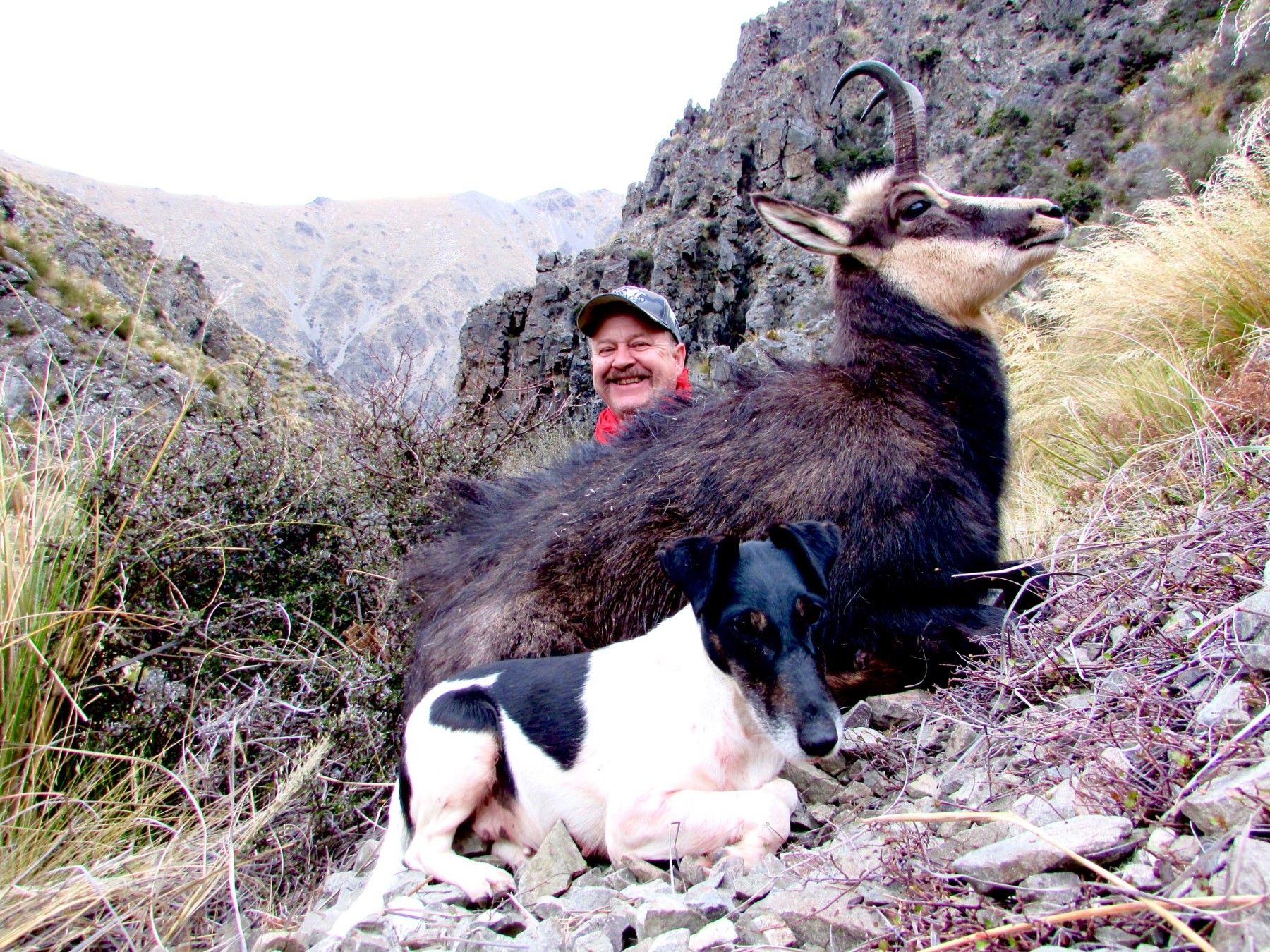 Chamois hunting in the New Zealand alpine