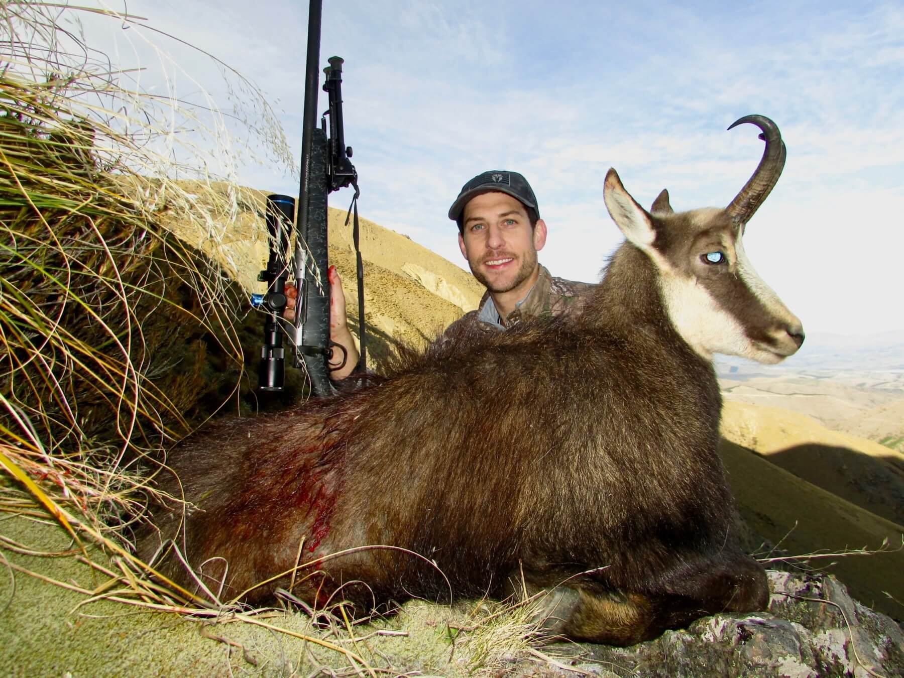 Mature 6 year old chamois buck taken in New Zealand