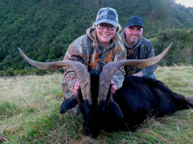 New Zealand alpine goat hunting trophy