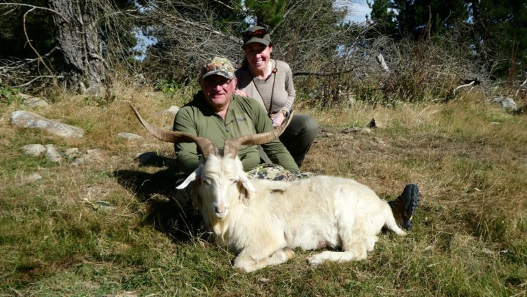 New Zealand alpine goat hunting trophy
