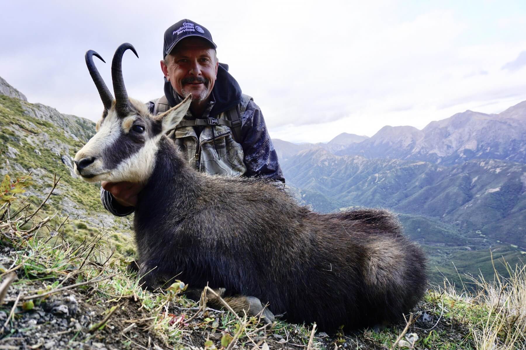 Alpine chamois hunting trophy, New Zealand