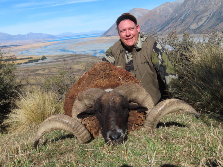 New Zealand Arapawa ram hunting trophy