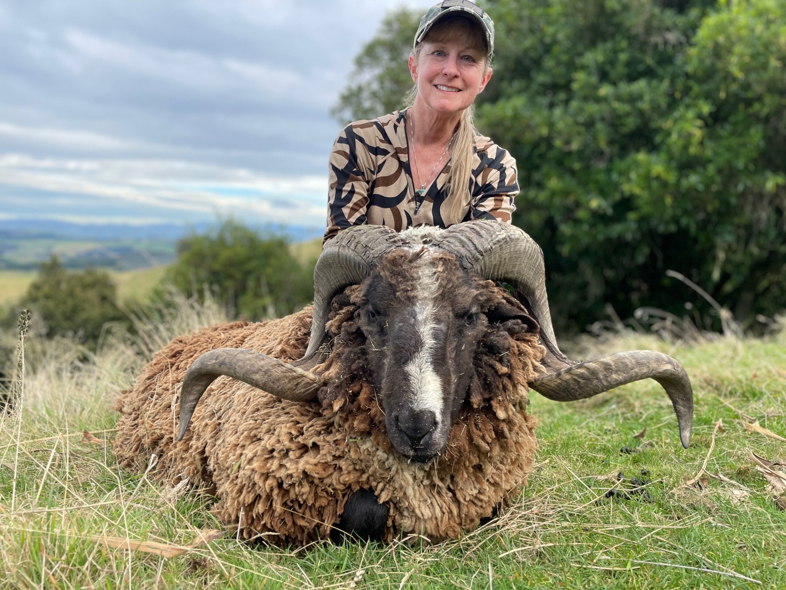Arapawa ram hunting trophy, New Zealand