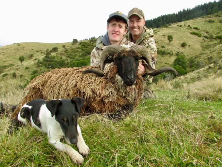 New Zealand Arapawa ram hunting