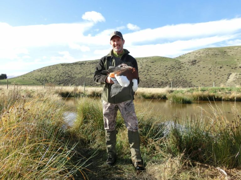 New Zealand bird shooting
