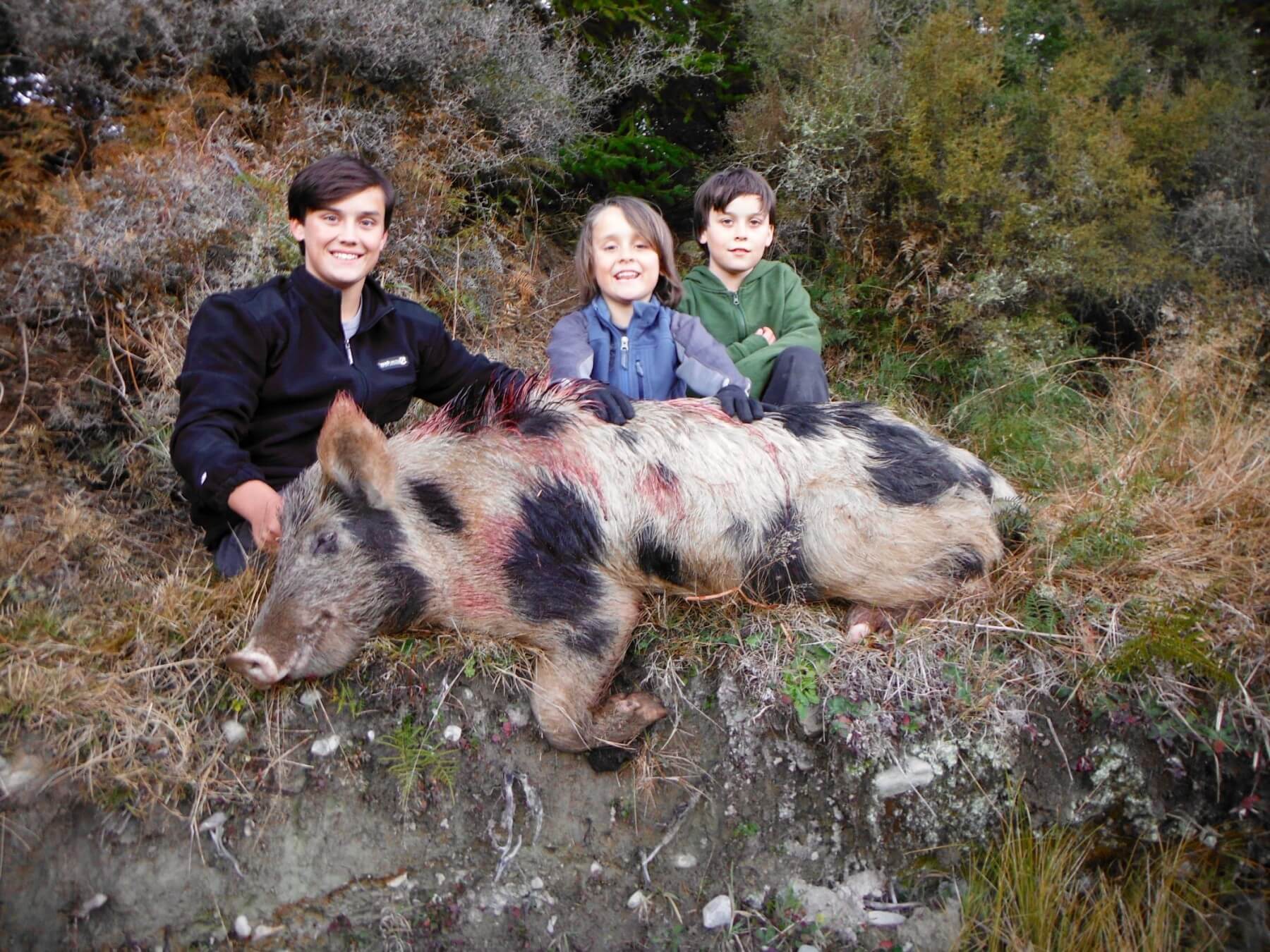 2017 wild boar trophy