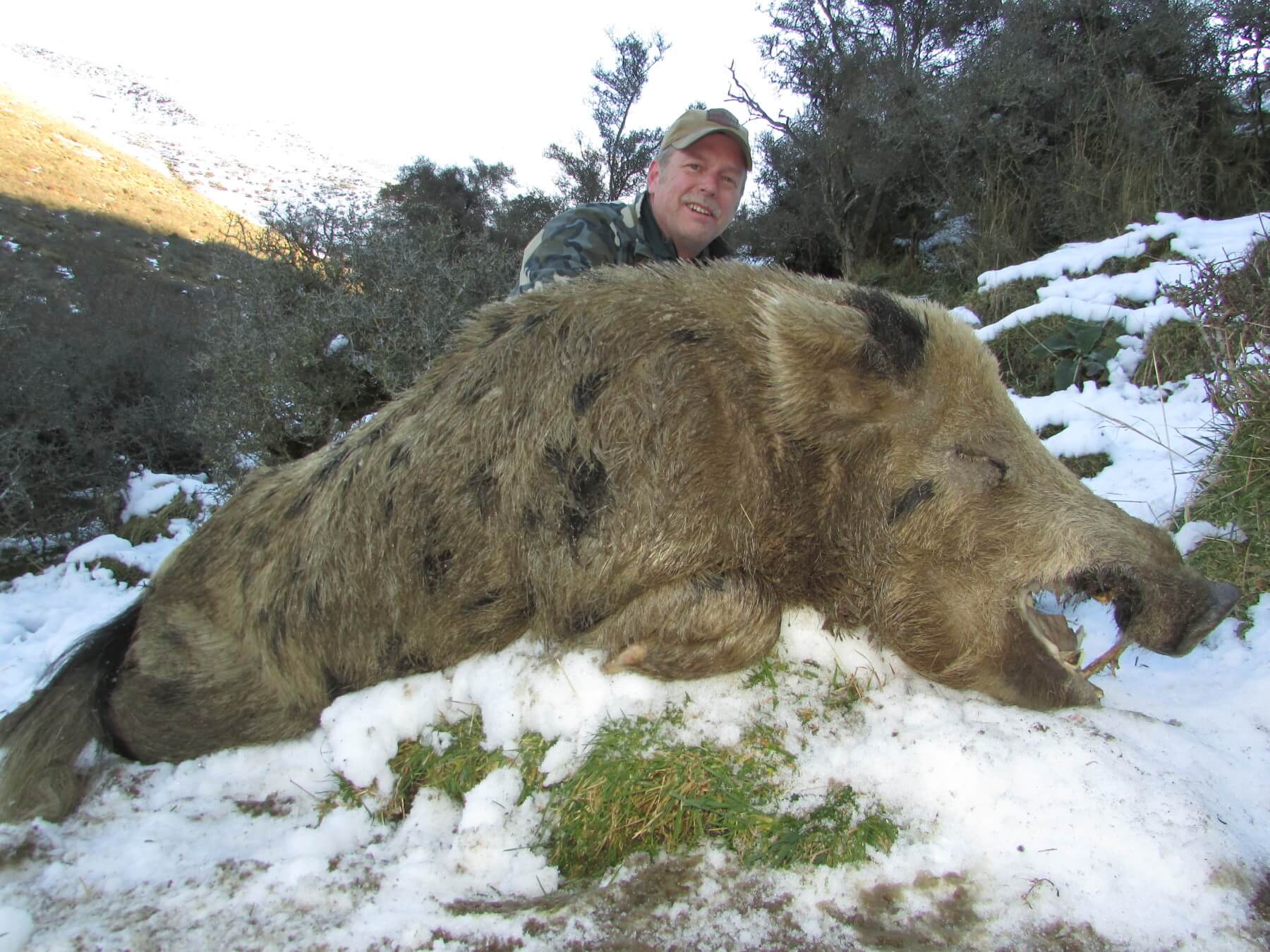 2019 wild boar trophy