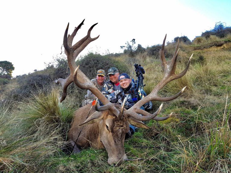 New Zealand bow hunting red stag, 359 inches