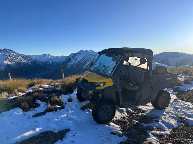 New Zealand bull tahr hunting trophy