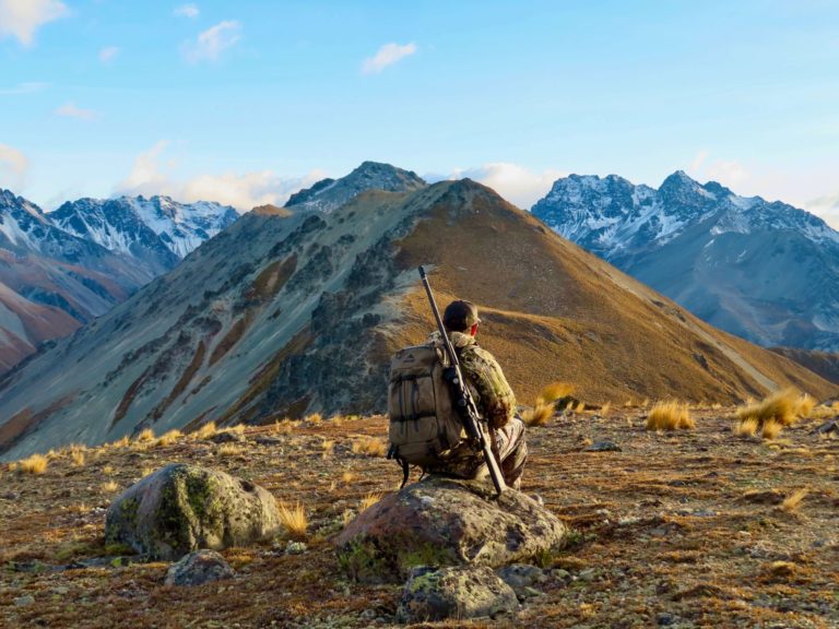 New Zealand bull tahr hunting trophy