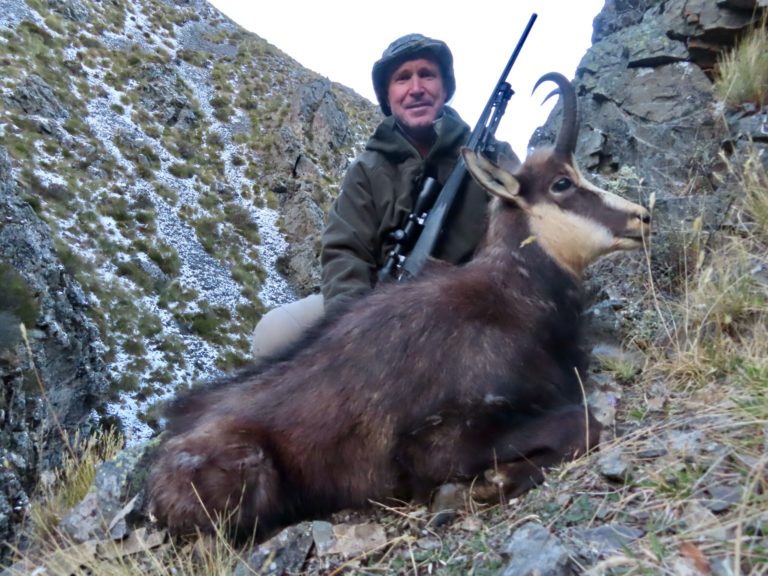 New Zealand chamois hunting trophy