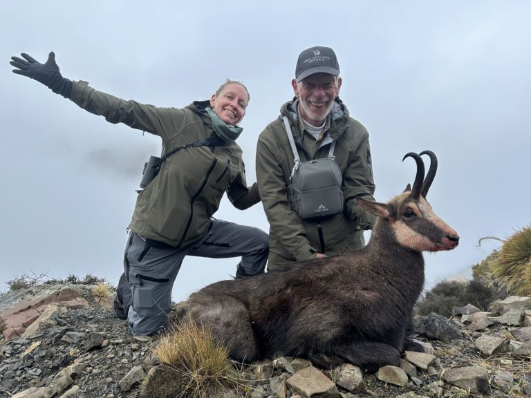 New Zealand chamois hunting trophy