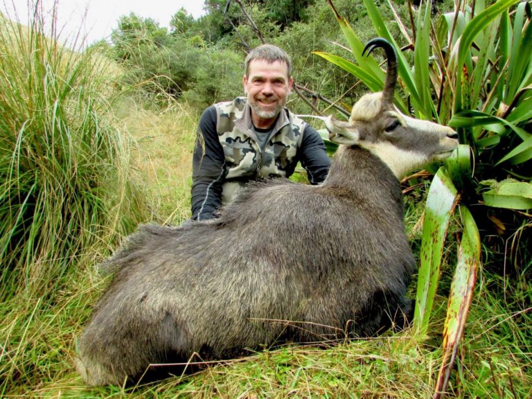 New Zealand chamois trophy, 9 inches