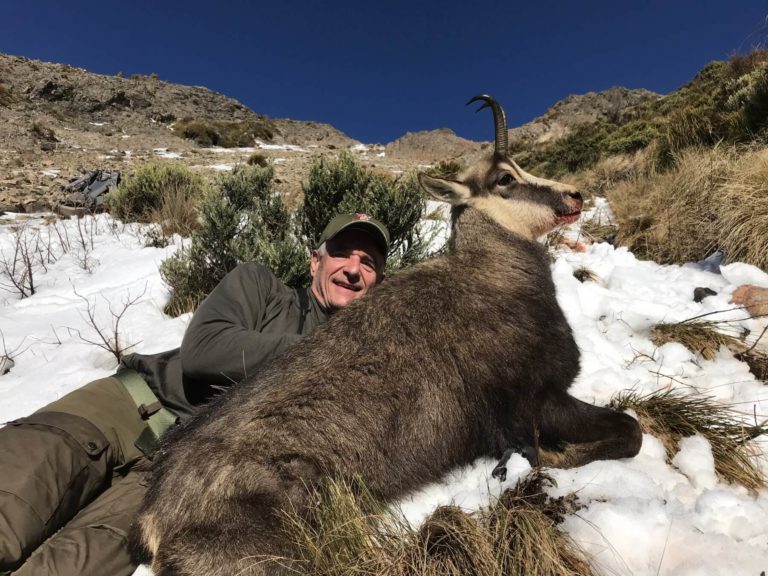 New Zealand chamois trophy