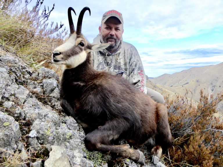 New Zealand free range chamois