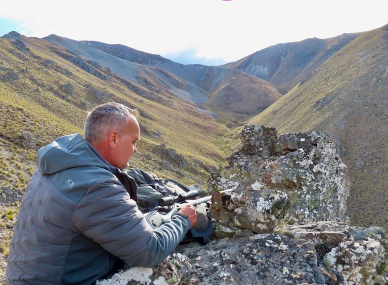 New Zealand chamois hunting trophy