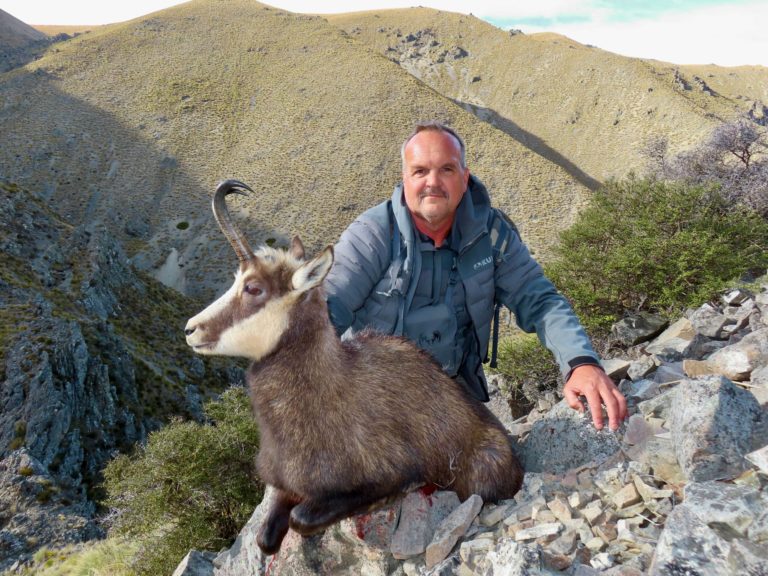 New Zealand chamois hunting trophy