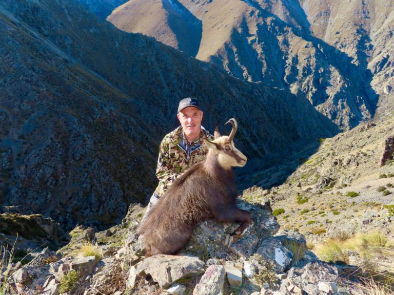 New Zealand chamois hunting trophy
