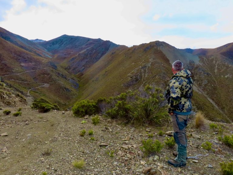 New Zealand chamois hunting trophy