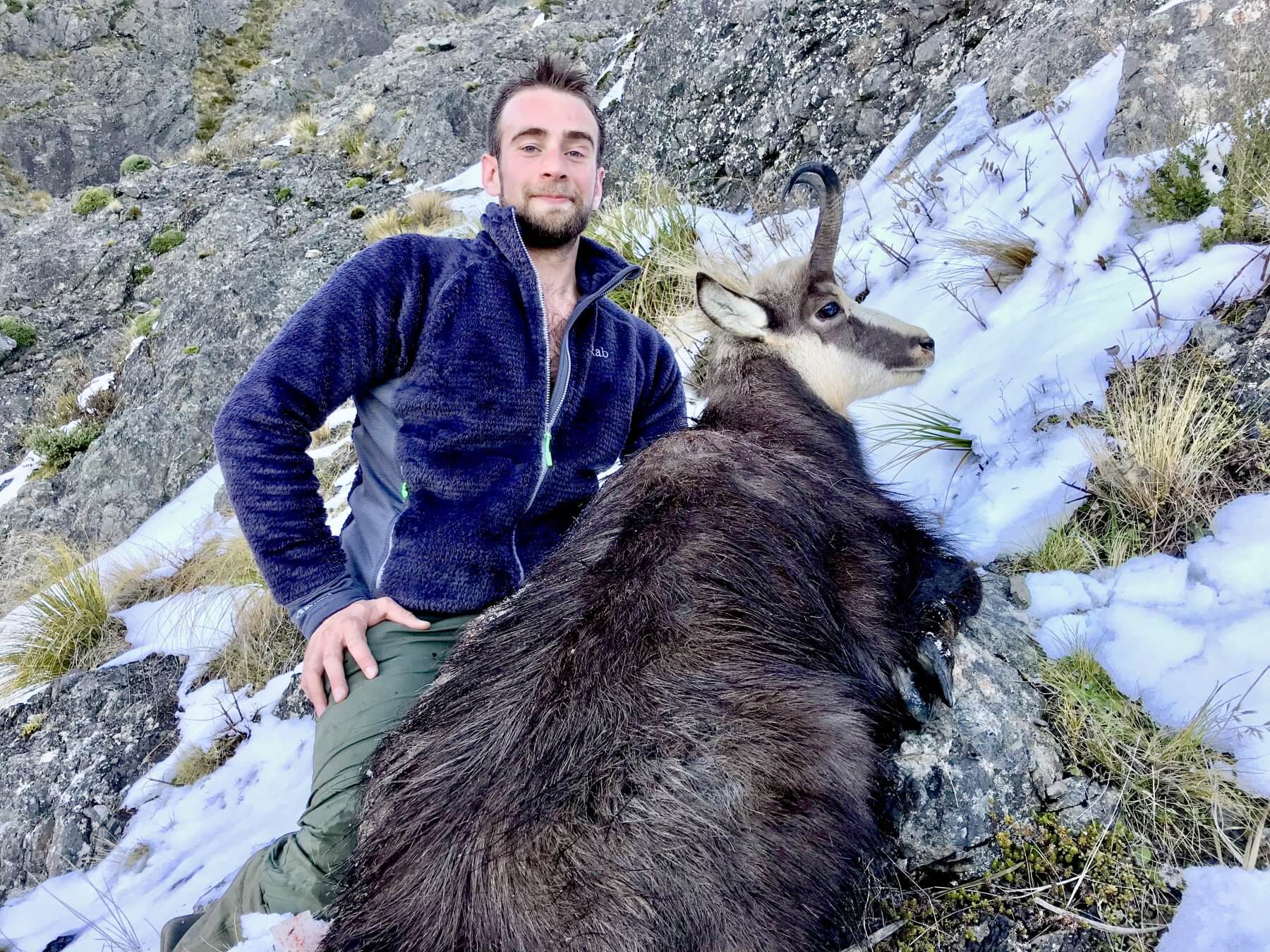 Chamois hunting New Zealand trophy buck
