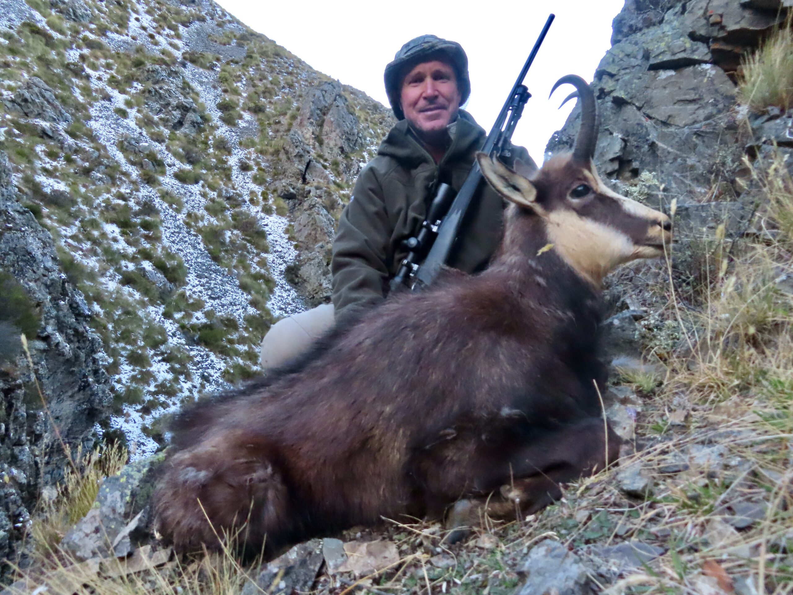 Chamois hunting in New Zealand