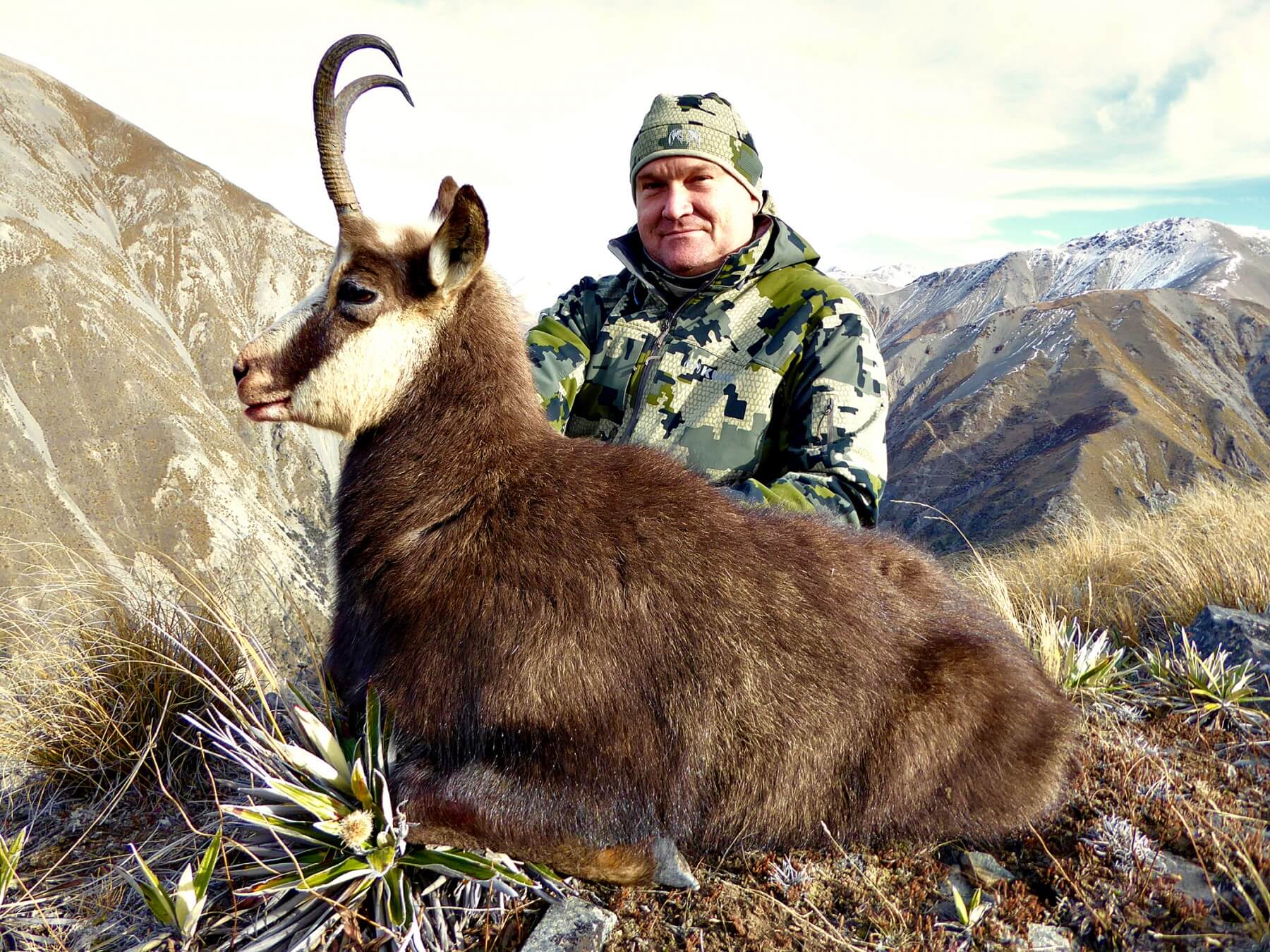New Zealand chamois trophy buck, 2017