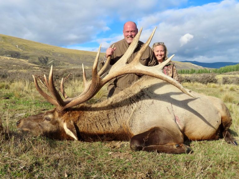 New Zealand elk hunting trophy, 360 inches