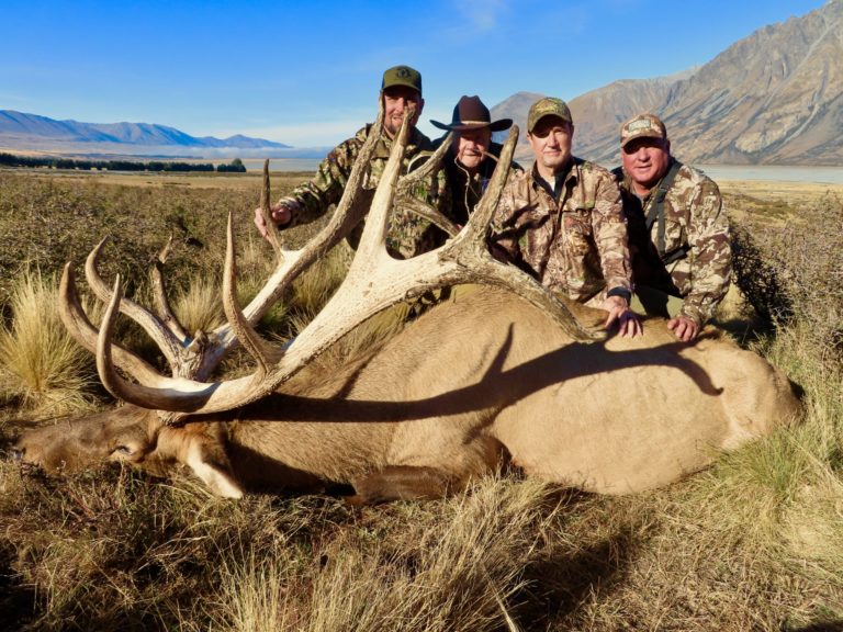 New Zealand elk hunting trophy, 378 inches