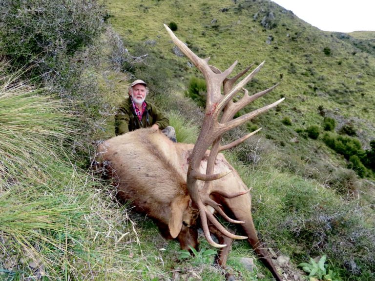 New Zealand elk hunting trophy, 380 inches