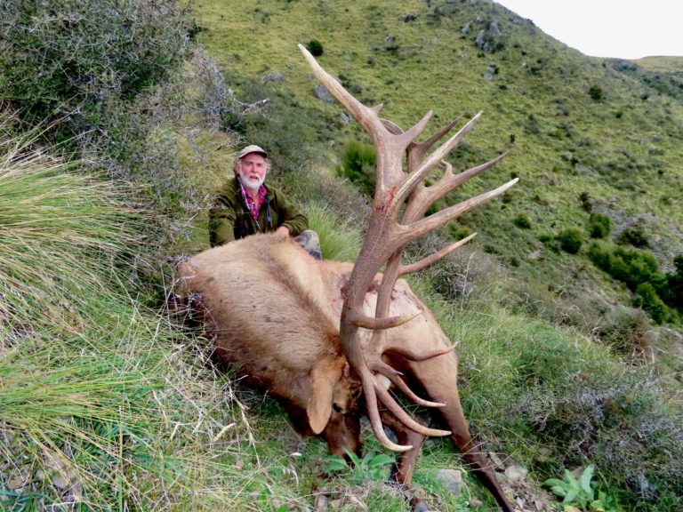 New Zealand elk hunting trophy, 380 inches