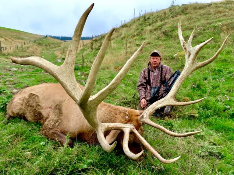 New Zealand elk hunting trophy, 397 inches