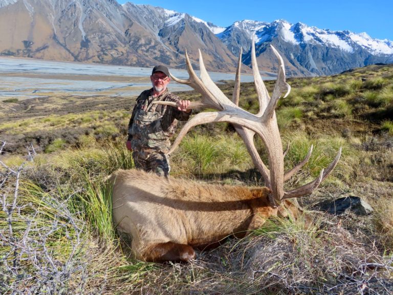 New Zealand elk hunting trophy, 415 inches