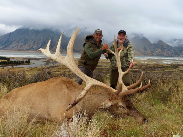 New Zealand elk hunting trophy, 420 inches