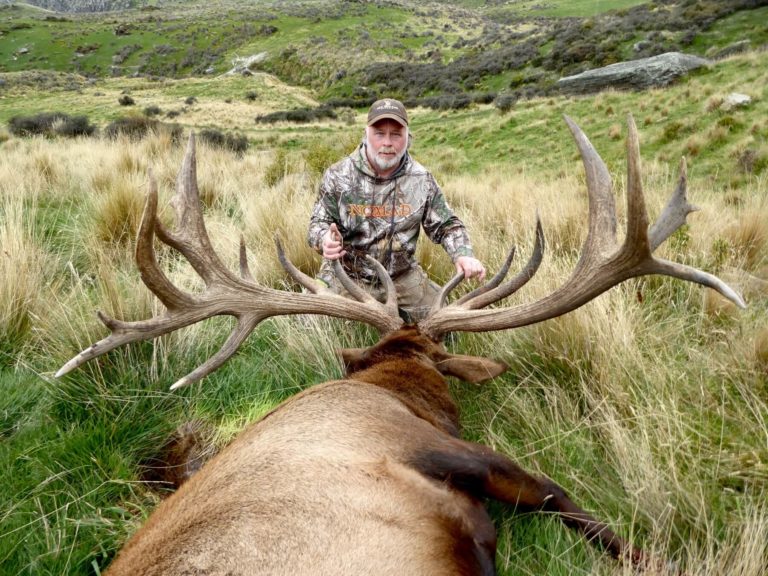 New Zealand free range elk, 469 inches