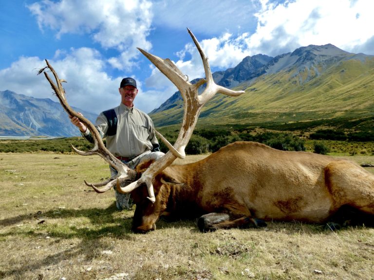 New Zealand typical elk hunting trophy
