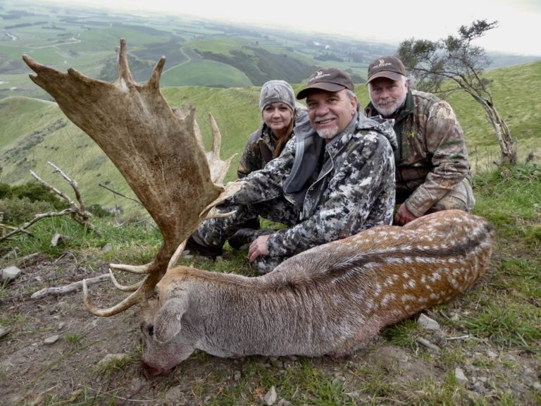 New Zealand fallow buck, 260 inches