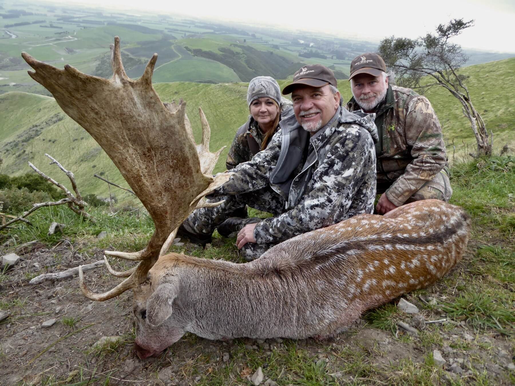 New Zealand fallow buck, 260 inches