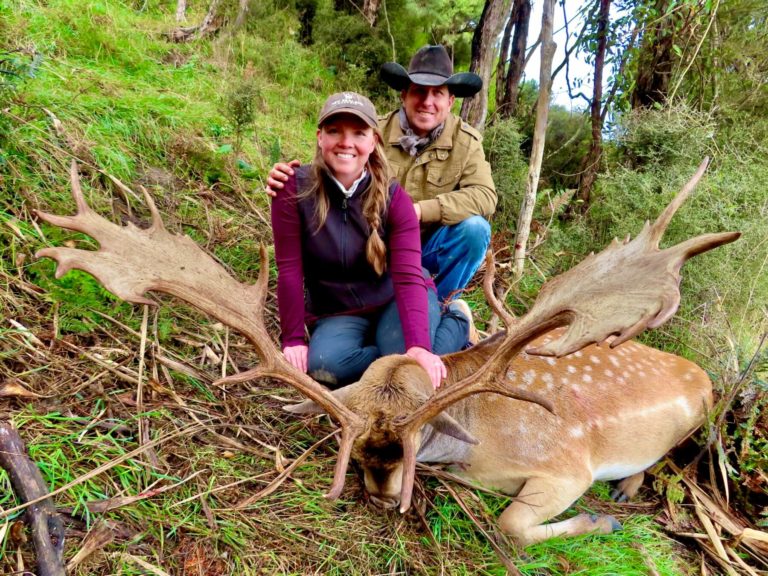 New Zealand fallow buck, 260 inches