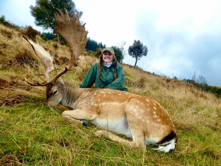 New Zealand fallow buck, 267 inches