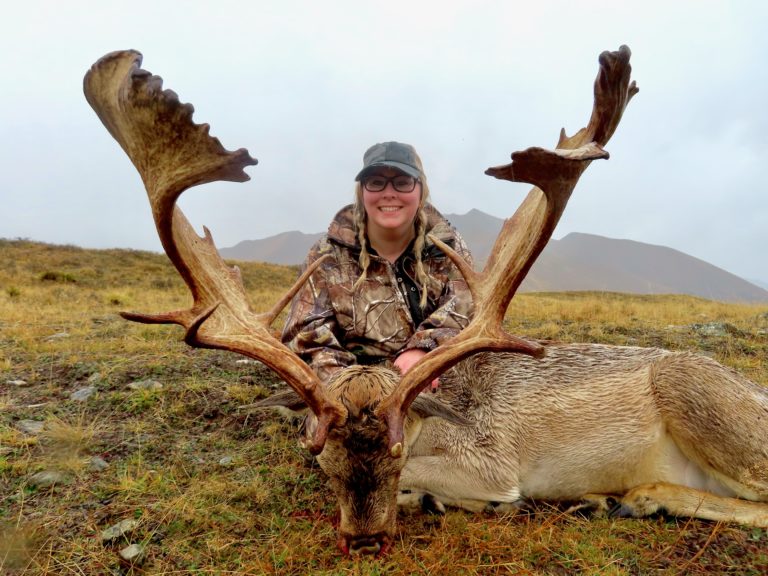 New Zealand fallow buck hunting trophy