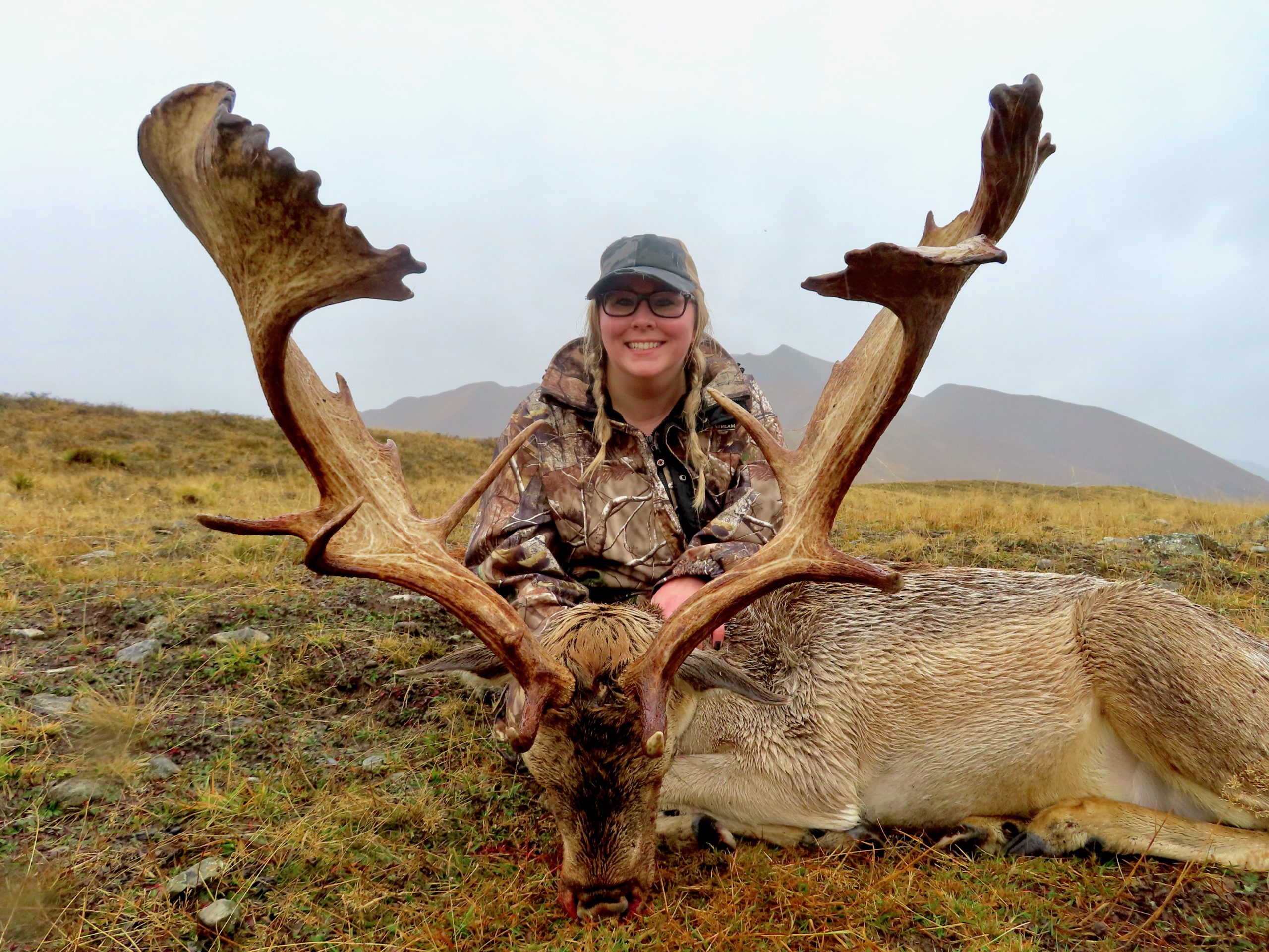 New Zealand fallow buck hunting trophy