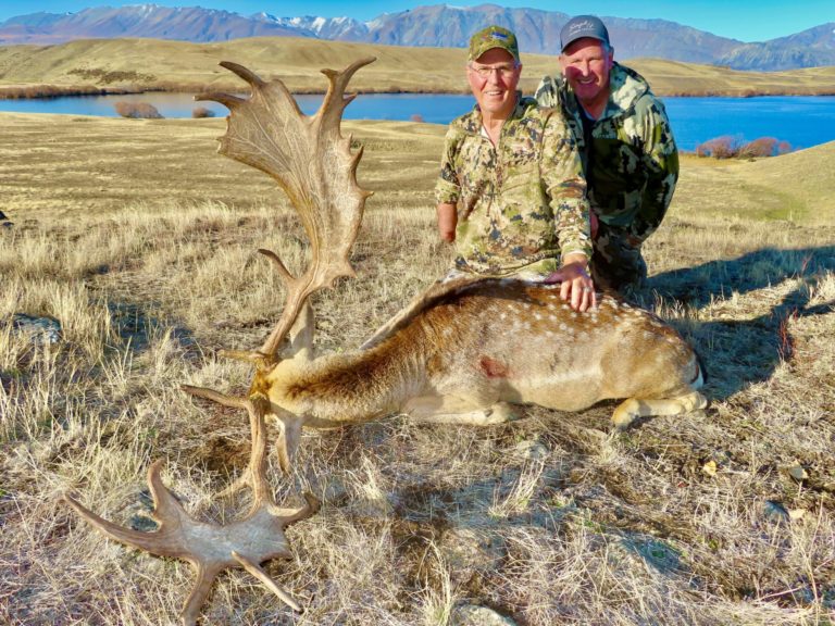 New Zealand fallow buck hunting trophy
