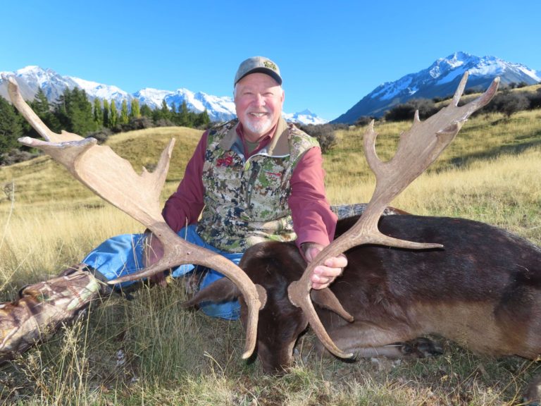 New Zealand fallow buck hunting trophy