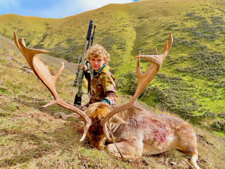New Zealand free range fallow buck hunting trophy