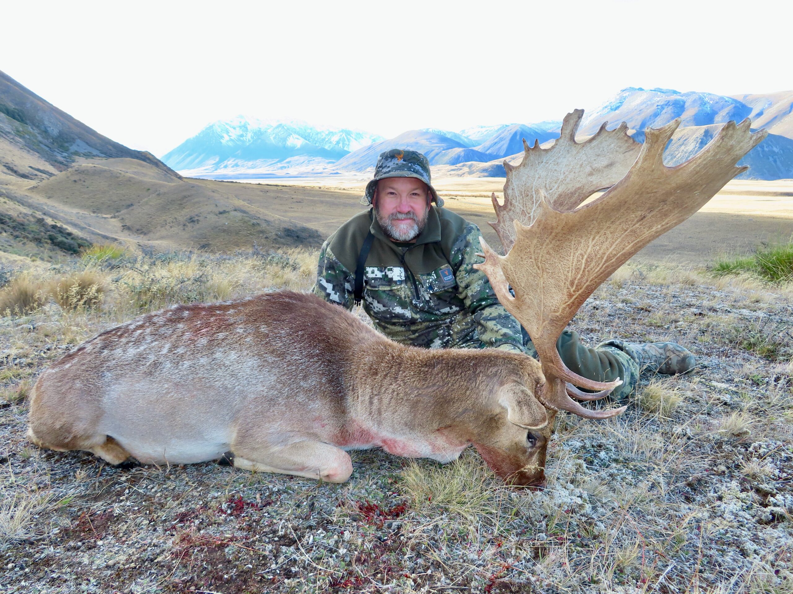 New Zealand fallow buck hunting trophy, XXL