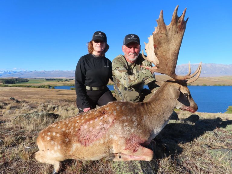 New Zealand fallow buck hunting trophy