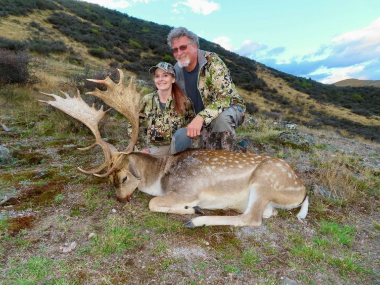 New Zealand fallow buck hunting trophy