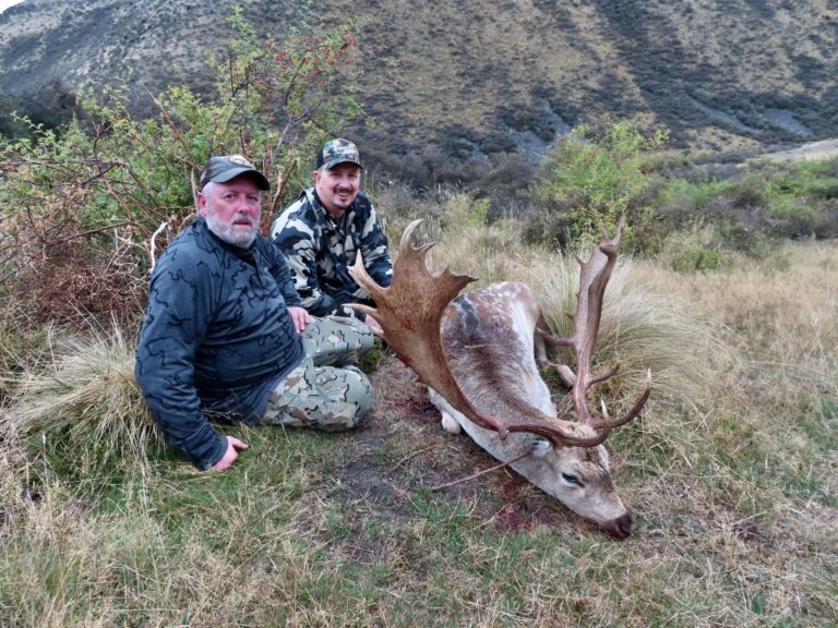 New Zealand fallow buck hunting trophy