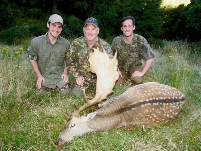 New Zealand monster fallow buck trophy