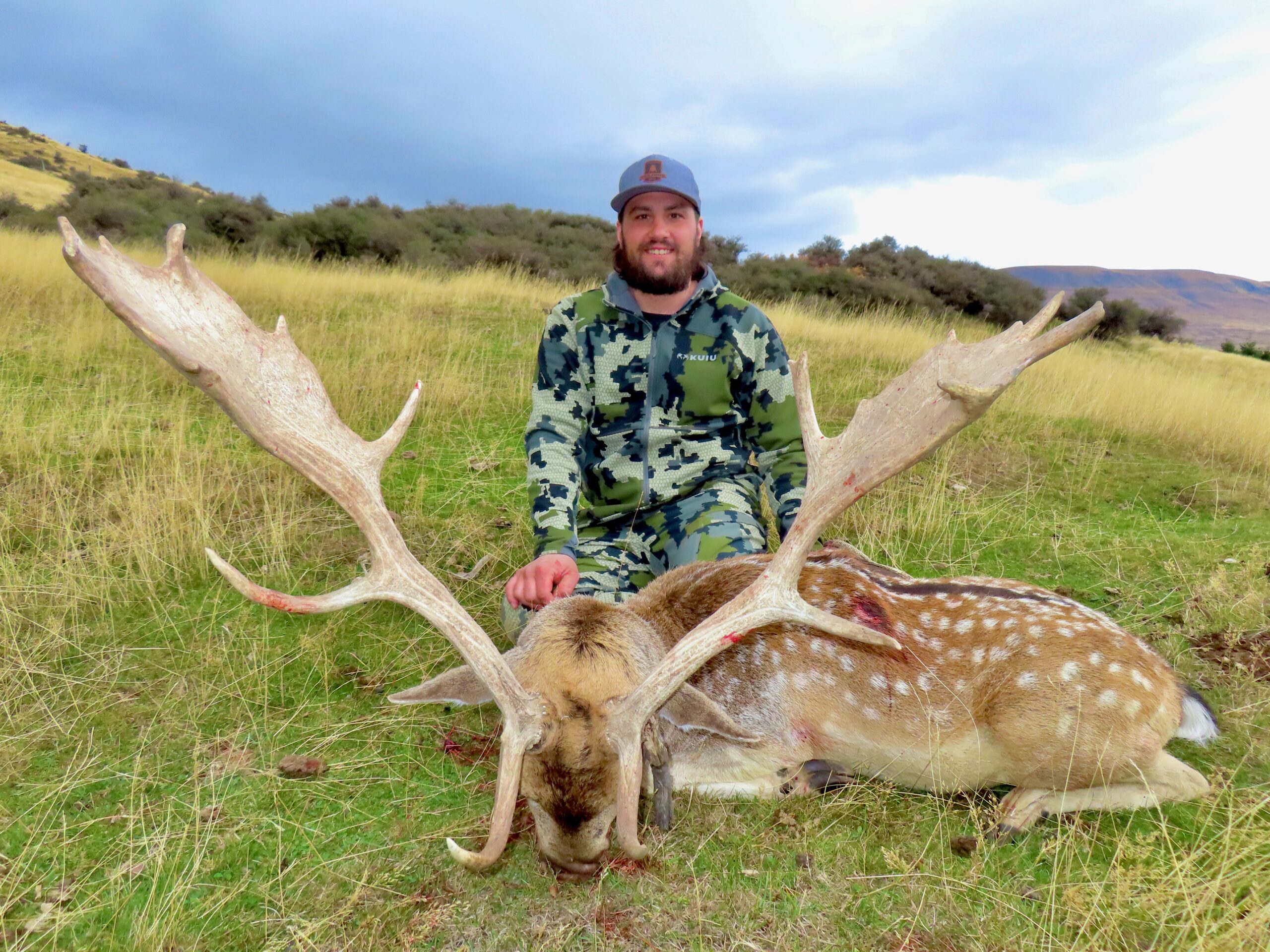 New Zealand fallow buck hunting trophy